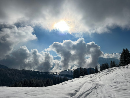 Beautiful low winter clouds and fog condensation in the Swiss Alps during a polar cold snap, Amden - Canton of St. Gallen, Switzerland / Schweizの写真素材