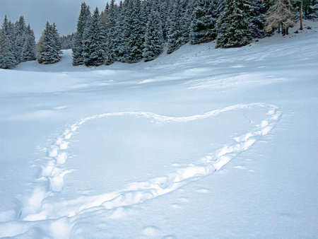 Traces of large heart in alpine snow or Icy snow heart in the Swiss Alps above the tourist resorts of Valbella and Lenzerheide in the Swiss Alps - Canton of Grisons, Switzerlandの写真素材