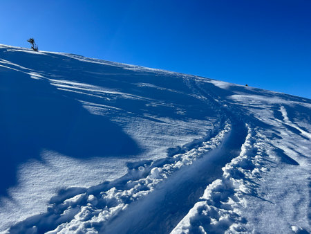 <p>Wonderful winter hiking trails and traces in the fresh alpine snow cover of the Swiss Alps and over the tourist resort of Arosa - Canton of Grisons, Switzerland (Schweiz)</p>の写真素材