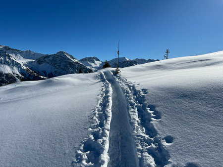 <p>Wonderful winter hiking trails and traces in the fresh alpine snow cover of the Swiss Alps and over the tourist resort of Arosa - Canton of Grisons, Switzerland (Schweiz)</p>の写真素材