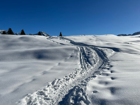 <p>Wonderful winter hiking trails and traces in the fresh alpine snow cover of the Swiss Alps and over the tourist resort of Arosa - Canton of Grisons, Switzerland (Schweiz)</p>の写真素材