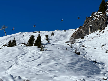 <p>Picturesque canopies of alpine trees in a typical winter atmosphere in the Swiss Alps and over...