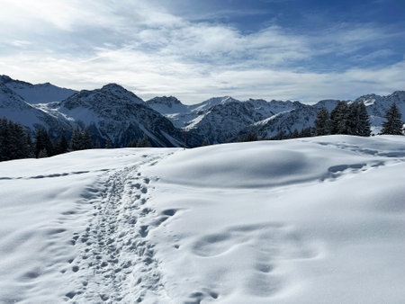 Wonderful winter hiking trails and traces in the fresh alpine snow cover of the Swiss Alps and over the tourist resort of Arosa - Canton of Grisons, Switzerland (Schweiz)の写真素材