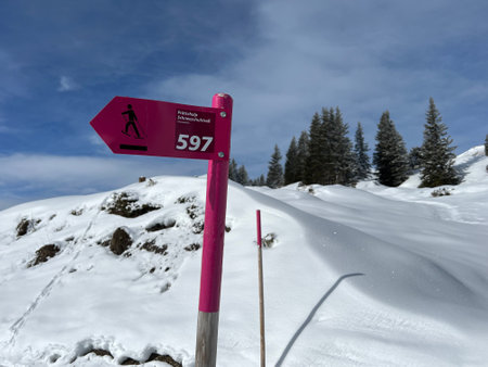 Hiking markings and orientation signs with signposts for navigating in the idyllic winter ambience above the tourist resort of Arosa in the Swiss Alps - Switzerland (Schweiz)の写真素材