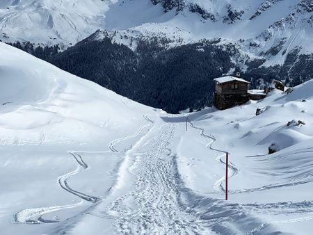Wonderful winter hiking trails and traces in the fresh alpine snow cover of the Swiss Alps and over the tourist resort of Arosa - Canton of Grisons, Switzerland (Schweiz)の写真素材