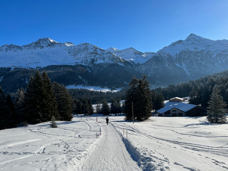 Excellently arranged and cleaned winter trails for walking, hiking, sports and recreation in the...
