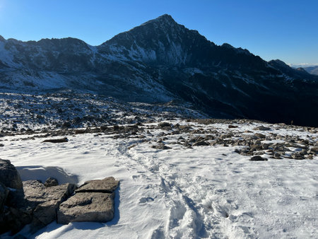 Fresh tracks on the season's first early autumn snow above the road pass Fluela (FlÃ¼elapass) and in the Swiss Albula Alps mountain massif, Zernez - Canton of Grisons, Switzerlandの写真素材