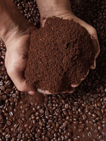 hands with coffeeの写真素材