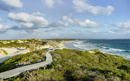 sand dunes and lush green dunes grass in Western Australia on a sunny dayの写真素材