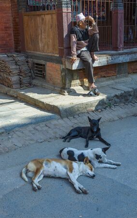 Kathmandu, Nepal_ November 03,2017:nepalese senior man is sitting on a pavement and watching the scenery with snoozing dogs in the foregroundのeditorial素材