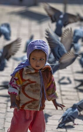 Kathmandu, Nepal-November 02,2017:young asian girl surrounded by pigeons on a square in Kathmanduのeditorial素材