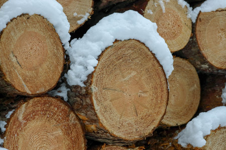Pile of firewood in the snow, closeup of photo
