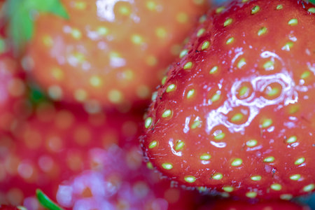 Strawberry fruit close-up macro photography with shallow depth of fieldの写真素材