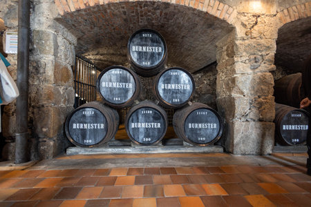 Wine barrels in the cellar of a winery in Italy.