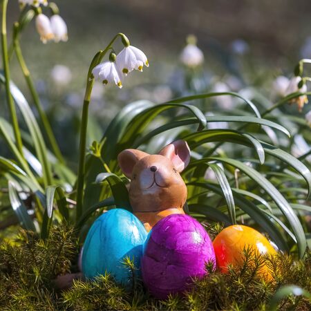 Happy easter time decoration with beautiful flowersの写真素材