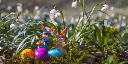 Happy easter time decoration with beautiful flowersの写真素材