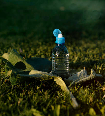 Text. High quality photoの写真素材