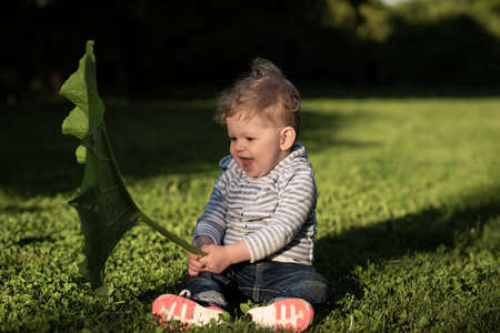 A little boy that is sitting in the grass. High quality photo