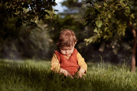 little boy in the park at sunsetの写真素材