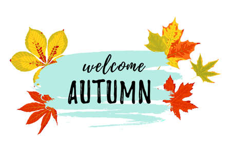 Text Welcome autumn with autumn leaves. Place for text. Vector illustration.のイラスト素材