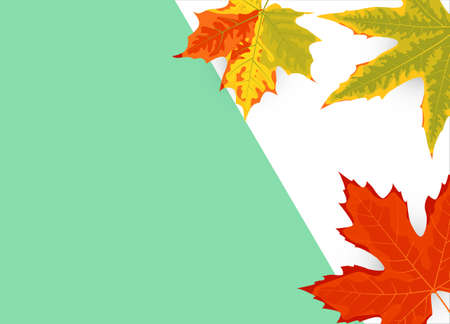 Autumn leaf on a blue and white background. Minimal concept. Place for text. Great for sale, party invitation, web, fall festival, Happy Thanksgiving day. Vector illustrationのイラスト素材