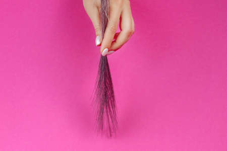 Light manicure on a pink background hand branchの写真素材