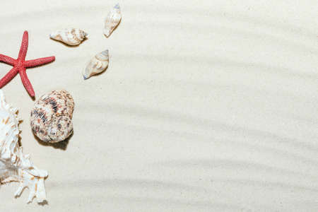 Off-focus background of light beach sand with space for text.の写真素材