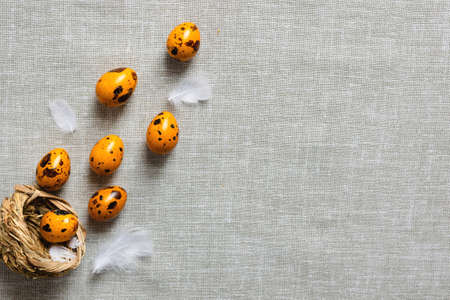 Easter quail eggs yellow on a gray background with a free place