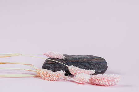 Podium for goods and cosmetics from natural materials on a pink background and cotton.の写真素材
