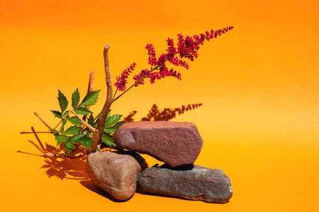 Catwalk for cosmetics and products made of natural materials on orange backgroundの写真素材