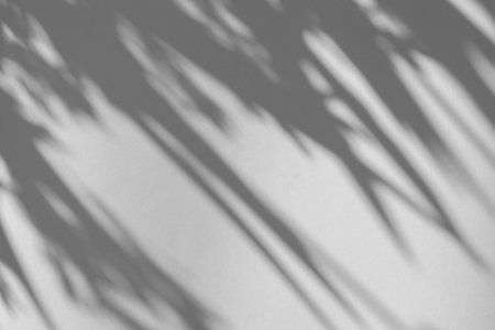 The shadow of the plant on a gray background with space for text.