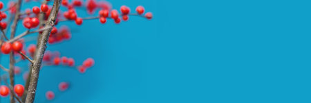 Autumn red plant on a blue background with space for text.