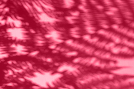 The shadow of the plant on a magenta background with space for text. trendy color 2023.