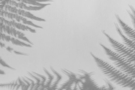 The shadow of the plant on a blue background with space for text.