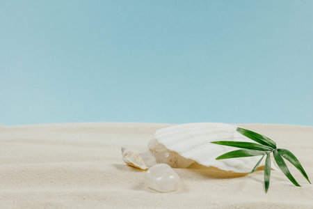 Background of light beach sand and a shadow from a palm tree with a place for text.の写真素材