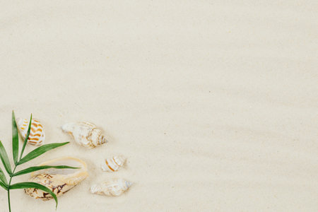 Natural podium on a sandy and blue background with seashells.の写真素材