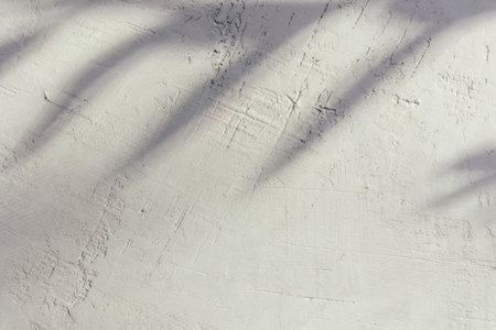The shadow of the leaves on the wall with the texture of the plaster, gray color with space for...
