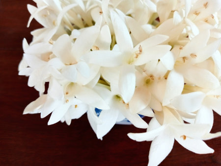 Close up View of White Jasmine Flower, On Wooden Tableの写真素材