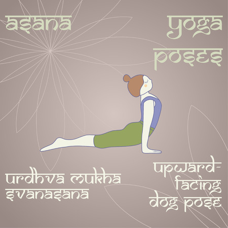 Urdhva mukha svanasana. Upward-facing dog pose. Asana. Yoga poses.のイラスト素材