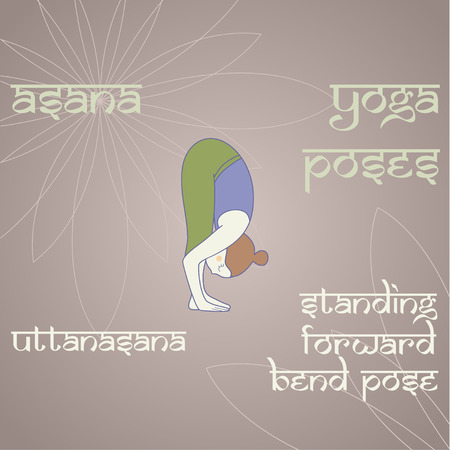 Uttanasana. Standing forward bend pose.のイラスト素材