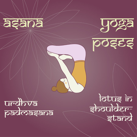 Urdhva Padmasana. Lotus in shoulderstand. Asana. Yoga poses.のイラスト素材