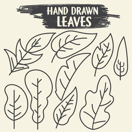 Set of leaves. Hand drawn decorative elements. Vector illustration. Flowers drawing with line-artのイラスト素材