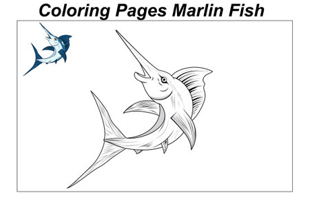 Coloring pages. Marine wild animals. ittle cute baby dolphin underwater. illustration in a cartoon style for a coloring bookのイラスト素材