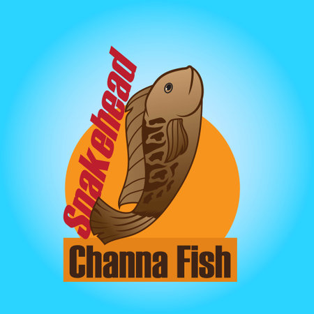 Illustration gold fish vector hand drawn for picture book education in schoolのイラスト素材