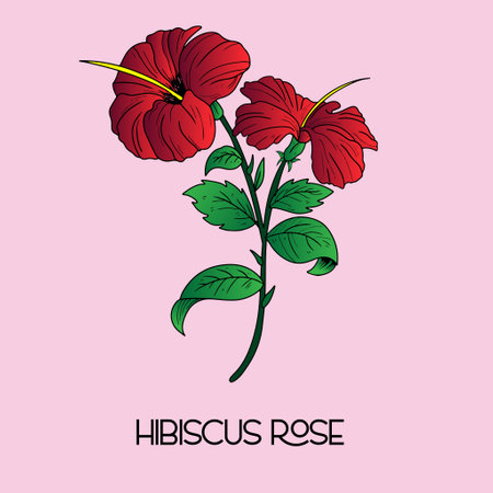 Illustration of tropical hibiscus flower. Decorative exotic plant. Floral templates with garden blooming flowersのイラスト素材