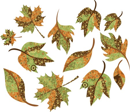 Collection of different autumn leavesのイラスト素材