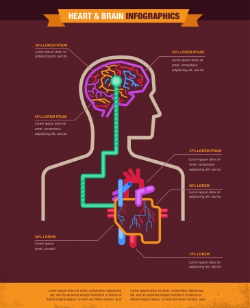 Brain and heart connected - vector illustration infographicのイラスト素材