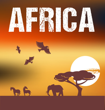 Africa - infographics and backgroundのイラスト素材
