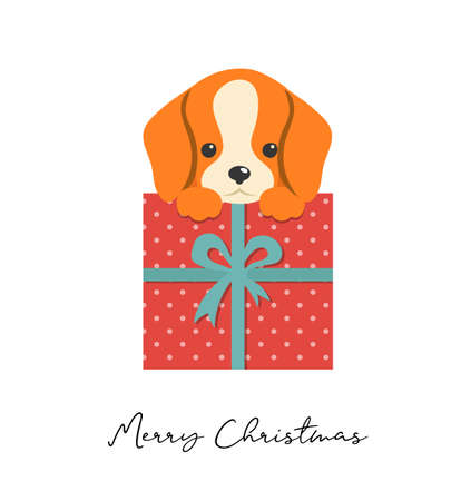 Merry Christmas puppy illustration, cute small dog with a gift boxのイラスト素材