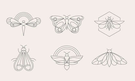 Bohemian linear logos, icons and symbols, insect, butterfly, dragonfly and moth design templates, geometric abstract design elements for decoration.のイラスト素材